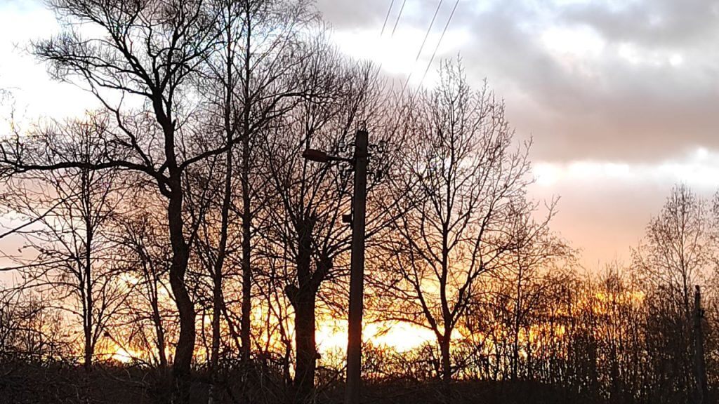 Eight locations across Belarus report warmest day on record on December 9