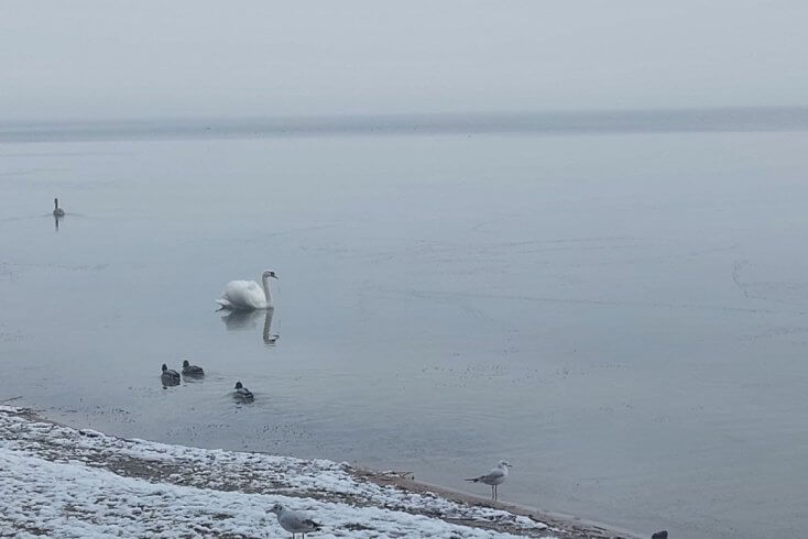 Мядельский райисполком предлагает распределять на месте сбор с посетителей Национального парка “Нарочанский“, а не через республиканский бюджет