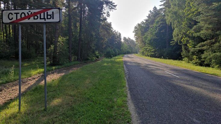 Traffic accidents involving animals said to be on the rise in Belarus