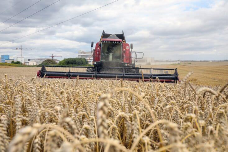 С 2019 по 2024 год количество работников сельхозорганизаций сократилось более чем на 15%