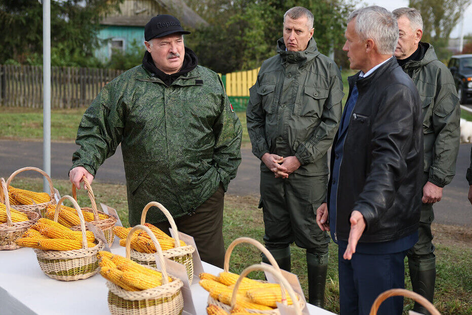 Łukašenka calls for higher corn yields