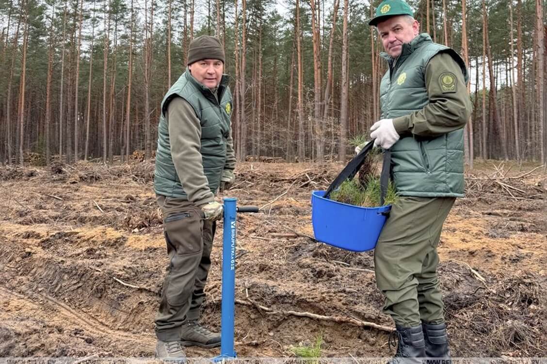 Галоўчанка не выключыў будаўніцтва другога цэлюлознага камбіната, хоць першы генераваў страты