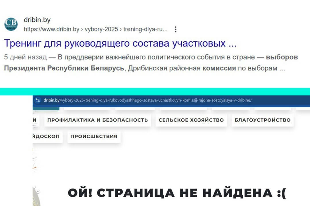 ГосСМИ Могилевской области удалили со своих сайтов публикации с фото членов избирательных комиссий — правозащитники