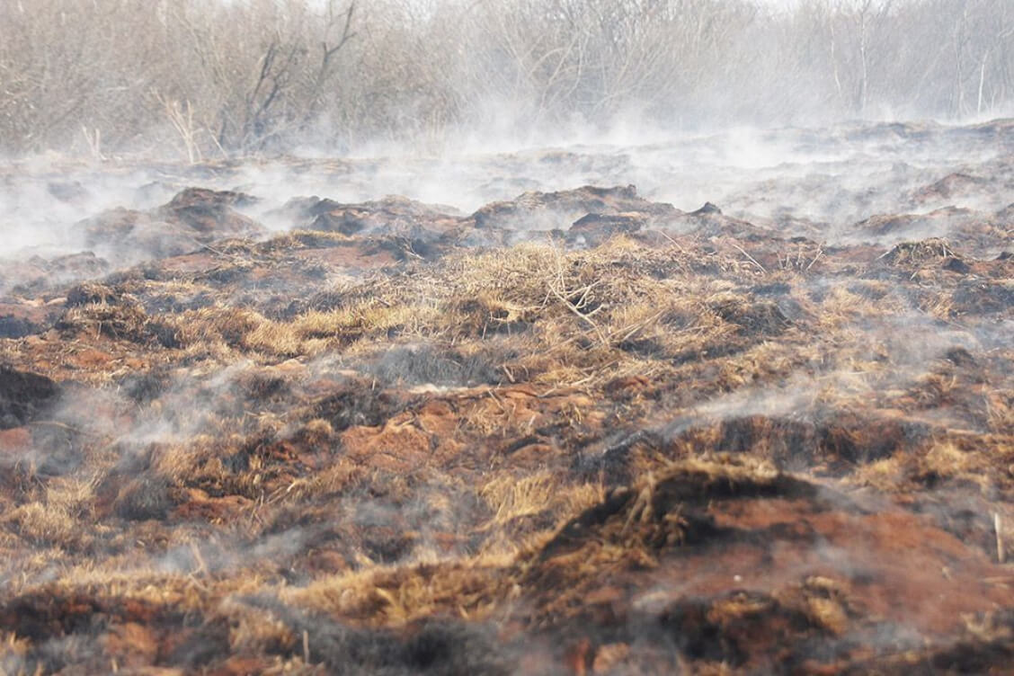 У Асіповіцкім раёне гарыць тарфянік, тушэнне ўскладненае глыбінёй залягання торфу