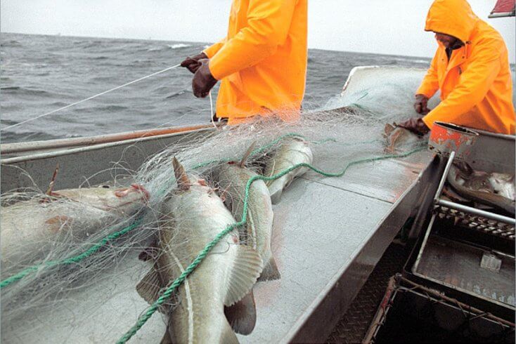 Belarus allocated 10-year fishing quota in Russia