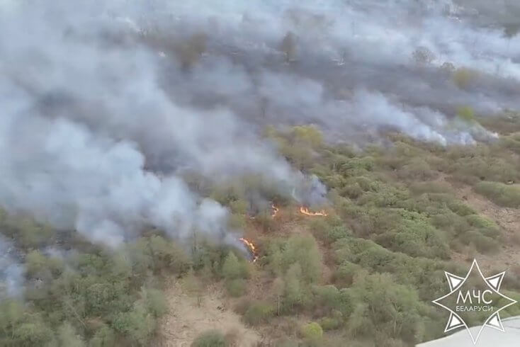 Стоимость ущерба от лесных пожаров за пять лет выросла в 102,7 раза