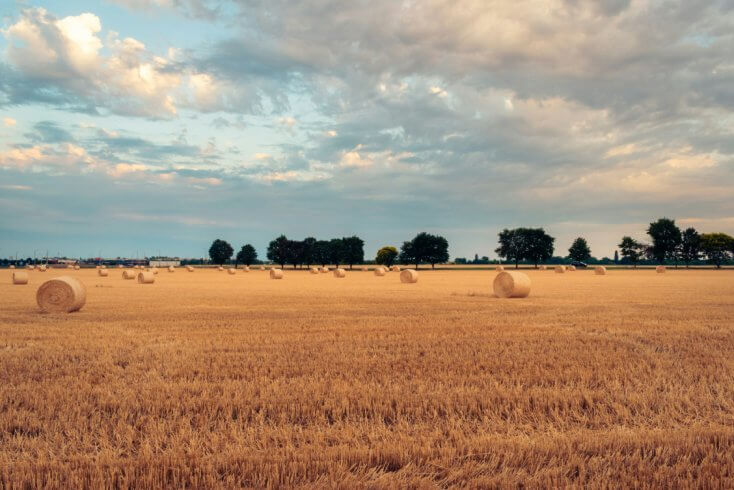 Лукашэнка мае намер забараніць перадачу сельскагаспадарчых земляў, пакінуўшы такое права толькі сабе