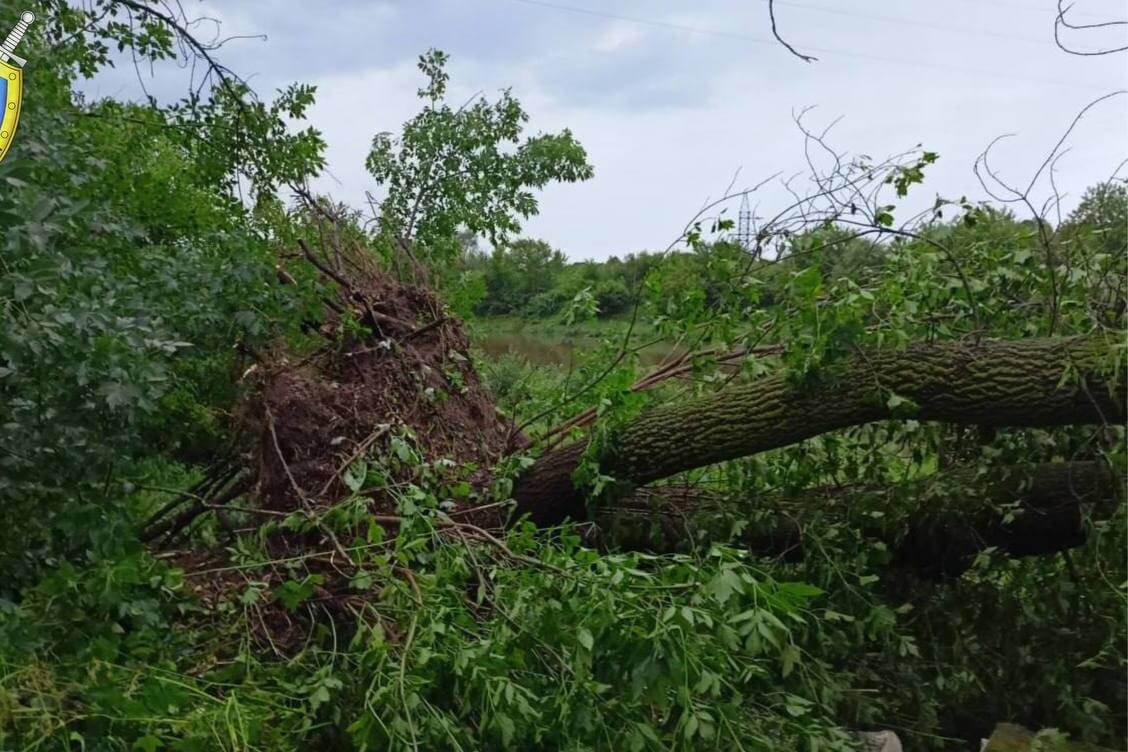 Belarus' thunderstorm leaves one dead, several injured