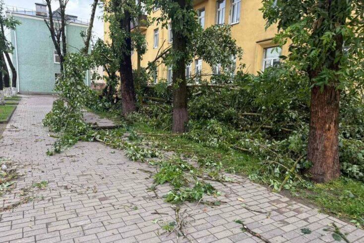 У Магілёве ў выніку падзення дрэў загінула 33-гадовая жанчына, шпіталізаваныя чатыры чалавекі