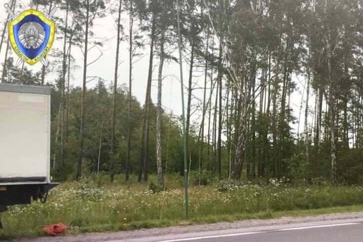 У Рэчыцкім раёне ад удару токам загінулі двое мужчын