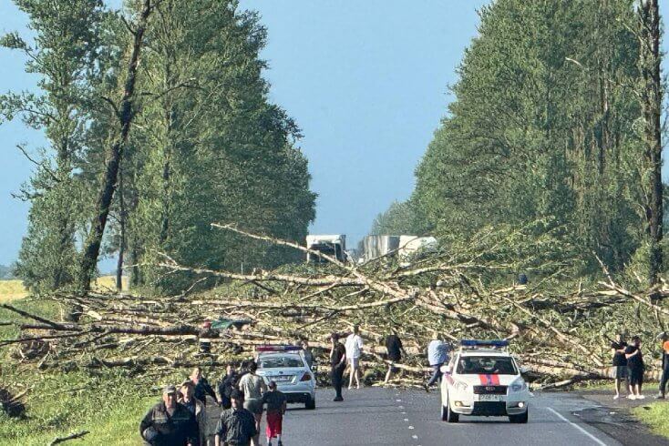 Пришедший с грозой штормовой ветер повредил 29 строений в Городокском районе, поваленные деревья перекрыли трассу