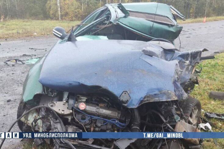 50-летний бесправник погиб в ДТП в под Борисовом