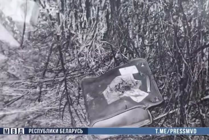 Милиция сообщила о раскрытии убийства девочки, совершенного 34 года назад — подозревается 11-летний брат