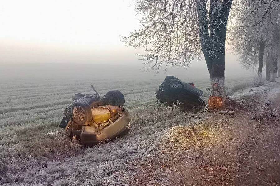 Два 18-гадовыя хлопцы загінулі ў ДТЗ у Веткаўскім раёне, аўтамабіль разарвала на часткі
