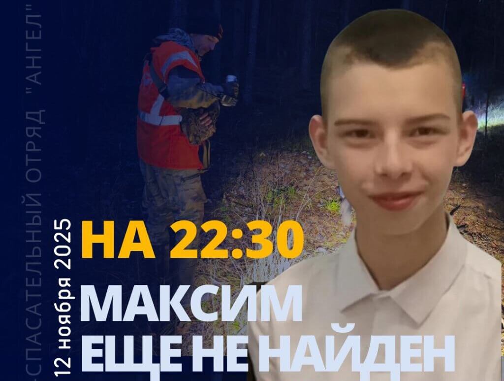 Пропавшего в Березинском районе подростка не могут найти пять суток