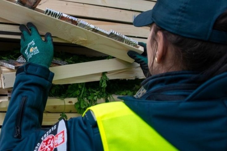 Азербайджанец на грузинском грузовике пытался ввезти в Польшу белорусские сигареты, спрятанные в петрушке