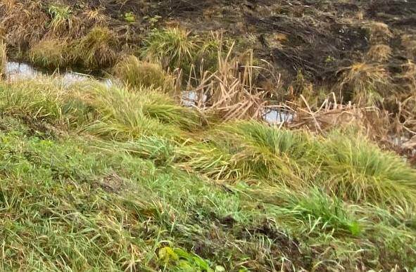 За выходные в Беларуси утонуло четыре человека — ОСВОД