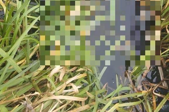 В Кобринском районе на глубине 70 см утонул мужчина