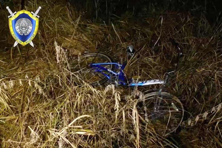 Прычынай смерці 14-гадовага Максіма Зяньковіча стала асфіксія пры патапленні — экспертыза ГКСЭ