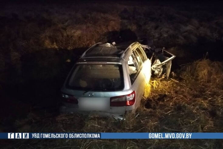 Молодой водитель и 17-летний пассажир погибли в ДТП после столкновения с лосем в Буда-Кошелевском районе