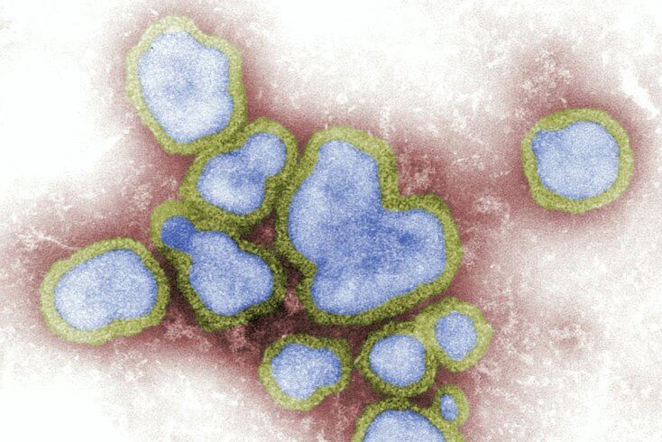 У Беларусі расце колькасць хворых на ВРВІ і грып — Мінздароўя