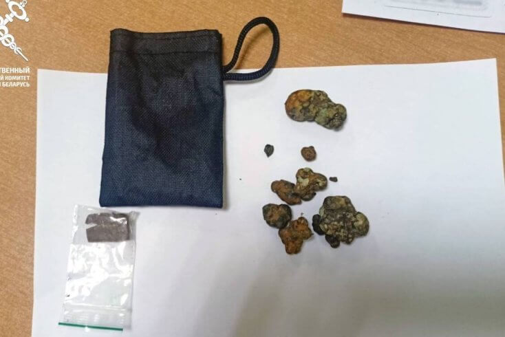 Жыхару Гродна пагражае да 10 гадоў зняволення за спробу ўвозу ў Беларусь псіхатропных грыбоў