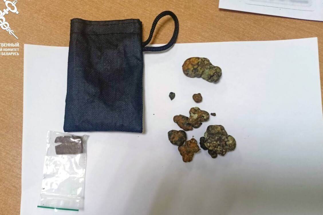 Жителю Гродно грозит до 10 лет заключения за попытку ввоза в Беларусь психотропных грибов