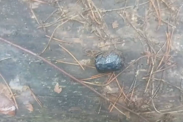 14-летней закладчице психотропа грозит до 20 лет заключения — МВД