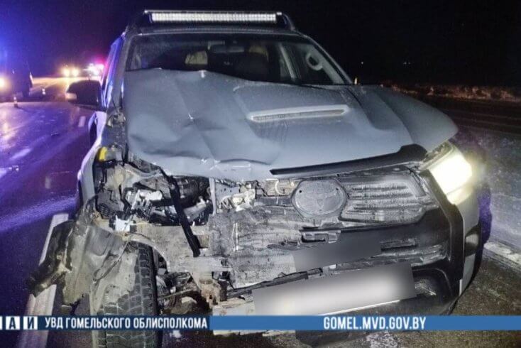 В ДТП под Буда-Кошелево погиб 43-летний пешеход