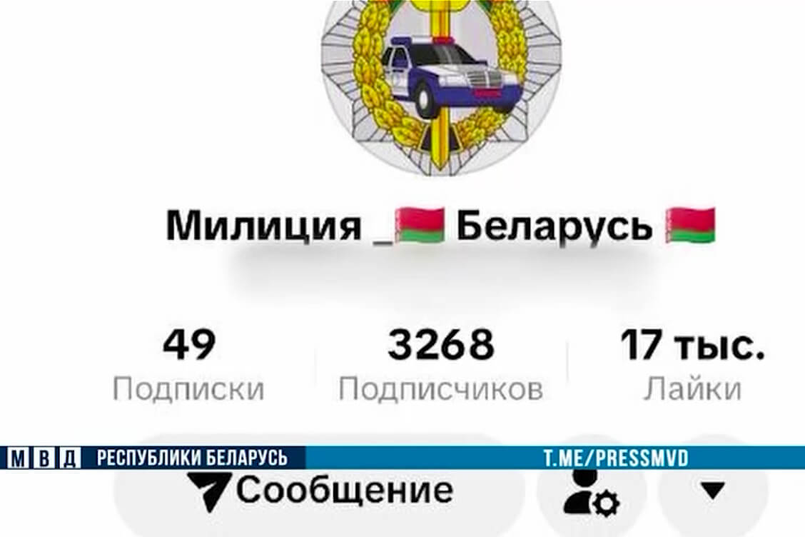 Житель Гомеля выдавал за аккаунт милиции свою страницу в 