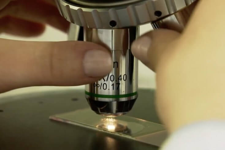 В 2025 году Таможенная лаборатория исследовала более 38,6 тыс. объектов