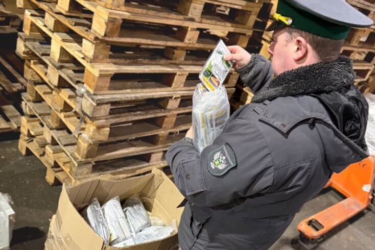 Россия не позволила ввезти из Беларуси еще одну партию семян