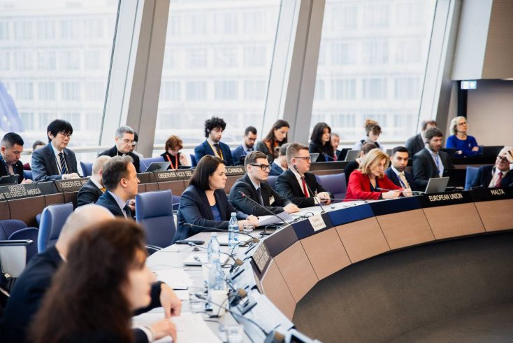 Тихановская: Мы закладываем ценности Совета Европы в саму основу нашего будущего государства (подробно)