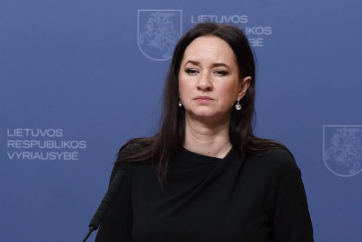 Упавший в 25 км от белорусской границы дрон был украинским  — премьер Литвы Ругинене