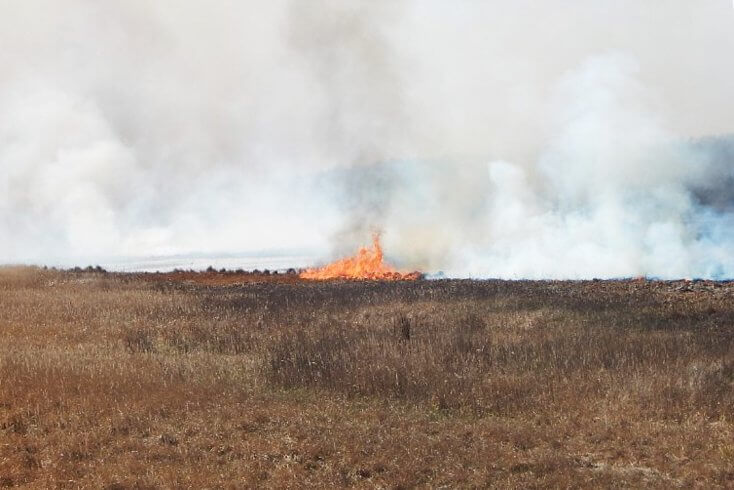МЧС начало фиксировать первые в этом году случаи ландшафтных пожаров