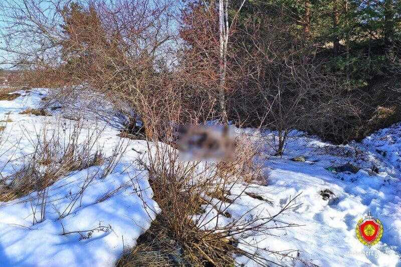 В овраге под Столбцами обнаружен труп мужчины по следами насильственной смерти — ГКСЭ