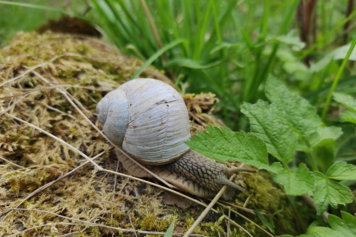 Мінулым днём тэмпературныя рэкорды зафіксаваныя ў Мінску і чатырох абласных цэнтрах