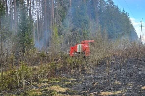 Три лесных пожара произошло из-за обрыва ЛЭП от сильного ветра — Минлесхоз