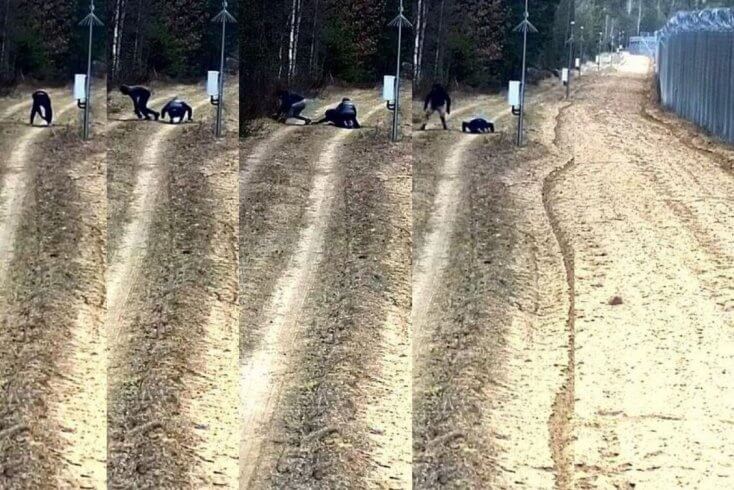 30 мігрантаў праніклі ў Літву з Беларусі праз падкоп на мяжы