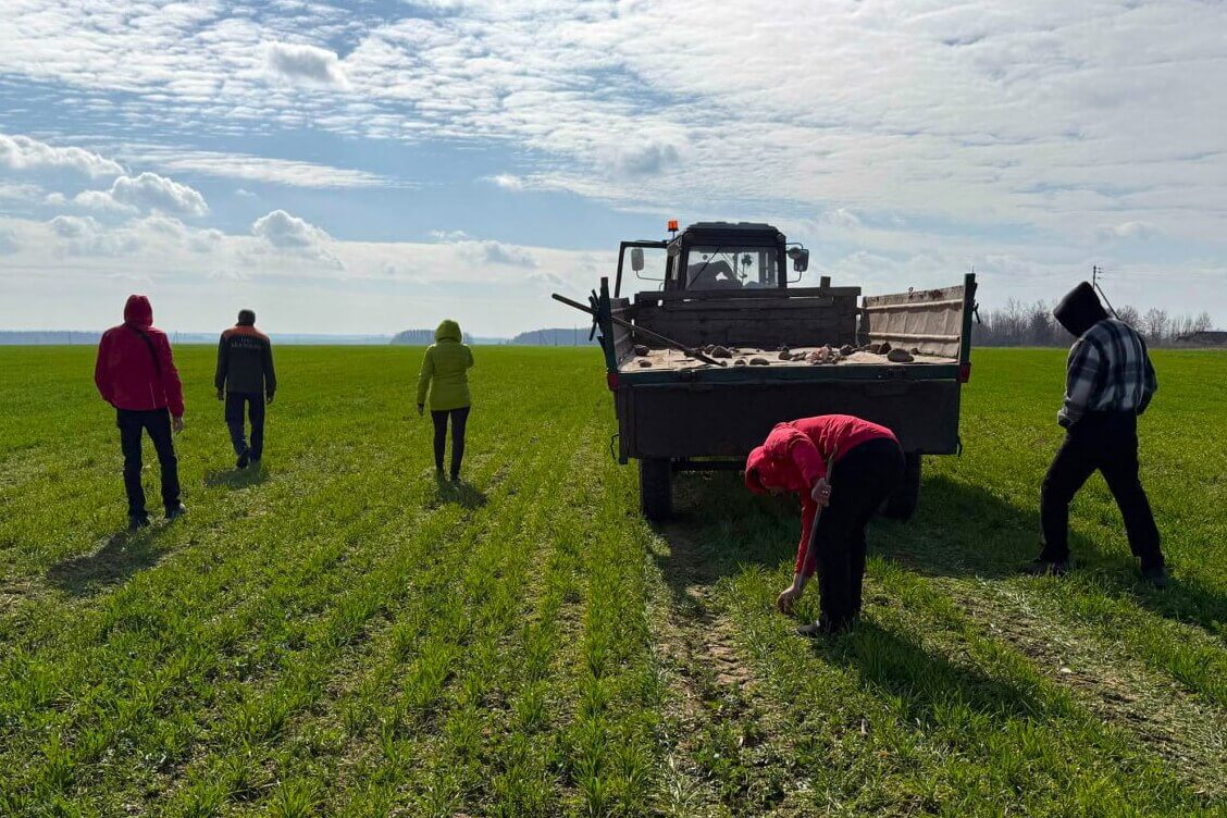 У Мастоўскім раёне грамадзяне, якія стаяць на ўліку, прыбіралі камяні пад кантролем міліцыі