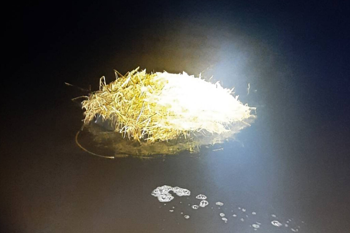 Пограничники Латвии вытащили из Даугавы плот с контрабандой из Беларуси — второй раз за последнюю неделю