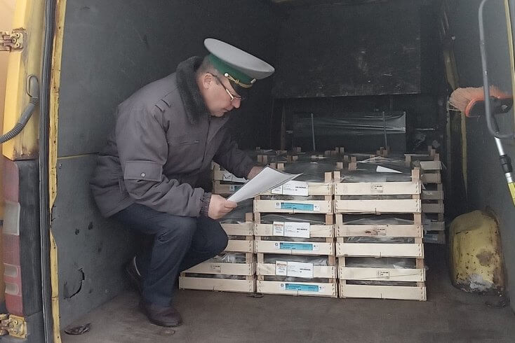 Россельхознадзор не пропустил в Беларусь саженцы земляники, из Беларуси — семена газонной травы и корм для собак