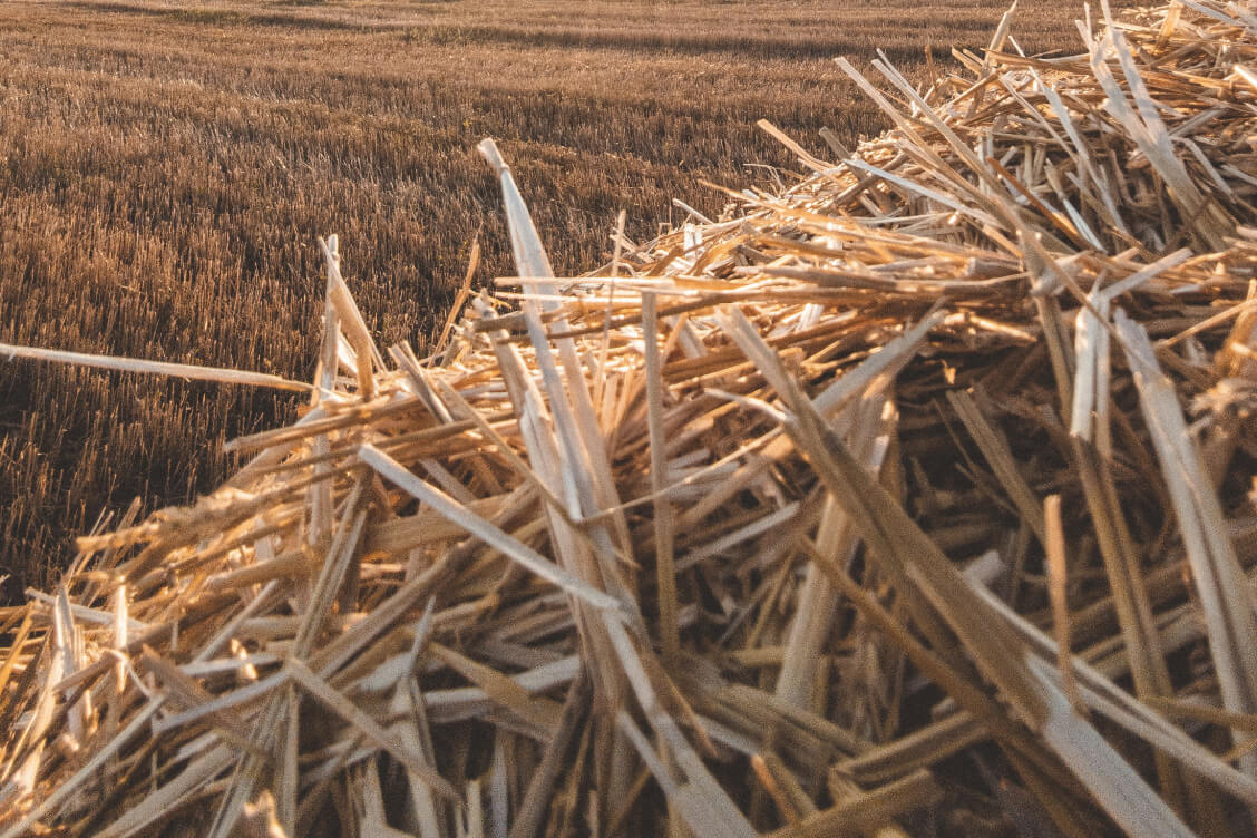 За неполные две недели на объектах АПК сгорело 107 т соломы
