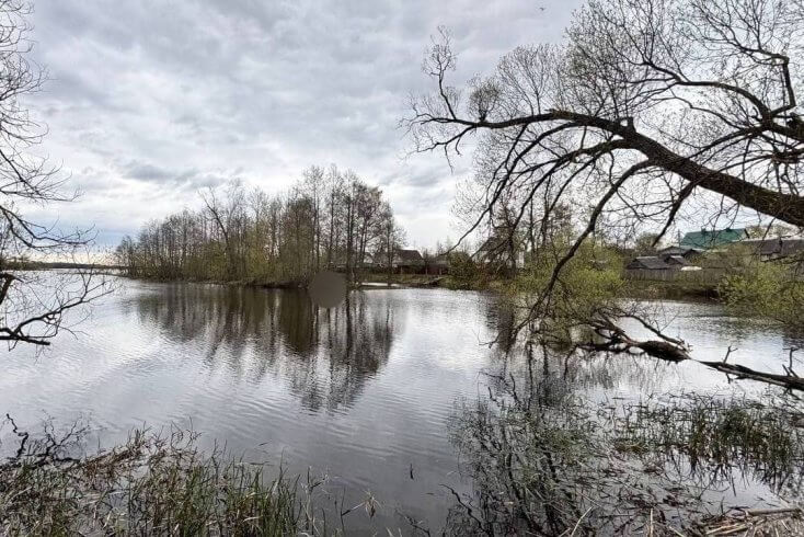 В Лепельском районе утонул мужчина — отдыхал с друзьями на берегу озера, а затем решил поплавать
