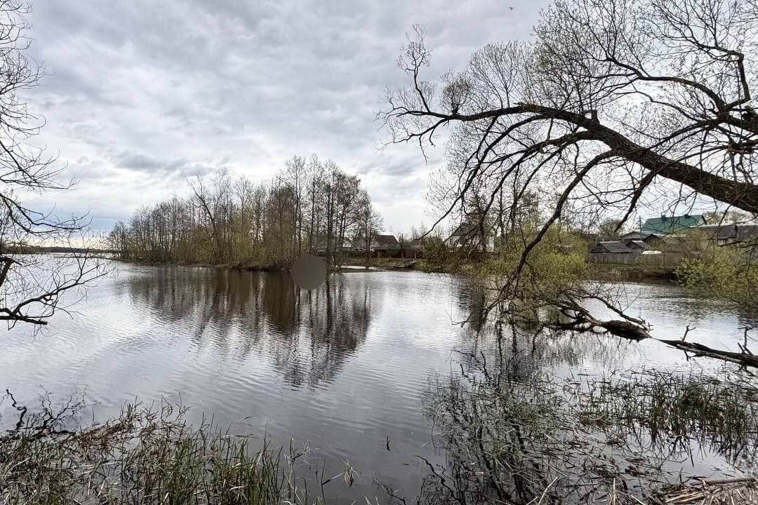 В Лепельском районе утонул мужчина — отдыхал с друзьями на берегу озера, а затем решил поплавать