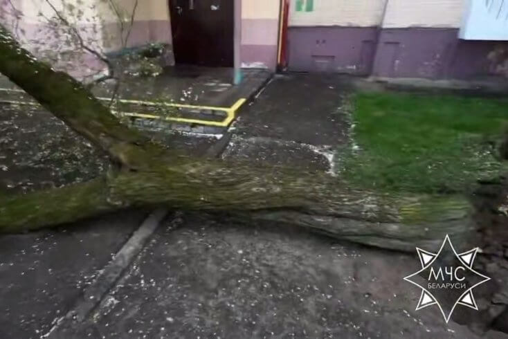 З-за моцнага ветру зноў пашкоджаныя аўтамабілі і будынкі, упала больш за 60 дрэў