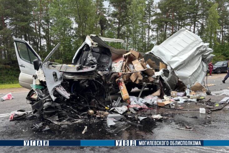 Сутыкненне з лесавозам у Чэрыкаўскім раёне — кіроўца мікрааўтобуса загінуў, яго сын у бальніцы
