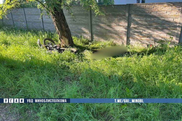 В Червенском районе мотоциклист врезался в дерево и погиб