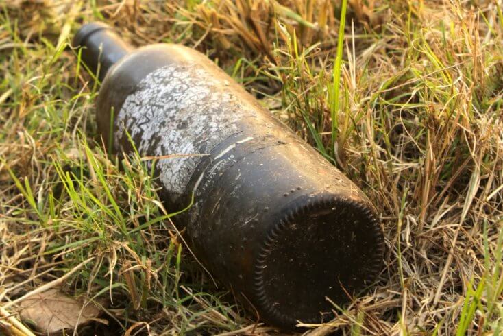 Лукашэнка запатрабаваў за два тыдні выкараніць бардак, п'янства і крадзеж у сельскай гаспадарцы