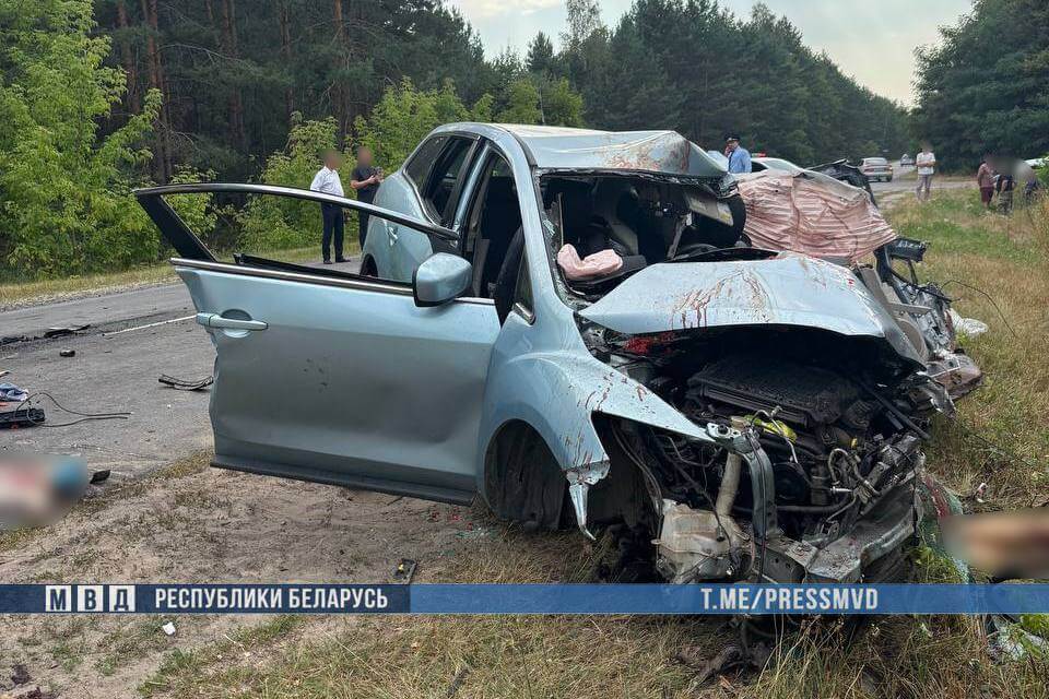 У бальніцы памёр 8-гадовы хлопчык, які пацярпеў у ДТЗ у Светлагорскім раёне